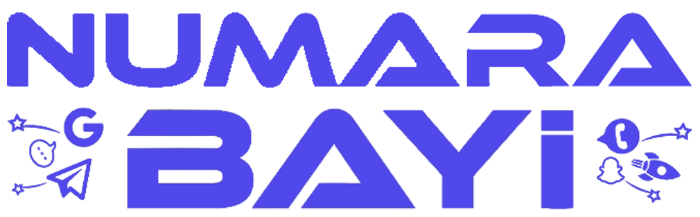 Numara Bayi Logo